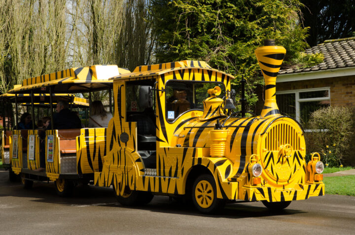The Safari Road Train at Banham Zoological Gardens