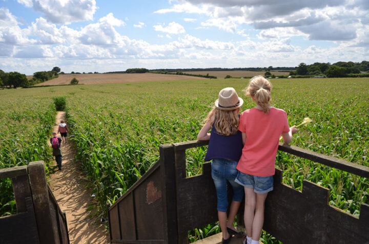 Wizard Maze, north Norfolk