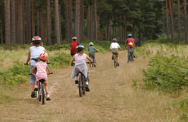 Family cycling through Thetford Forest