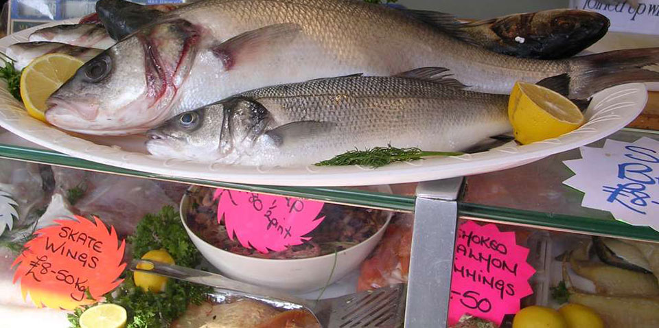 Fish at Fakenham Farmers Market, Norfolk
