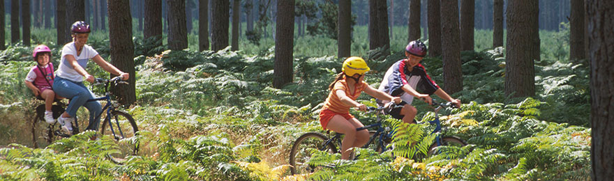 Norfolk family cycling
