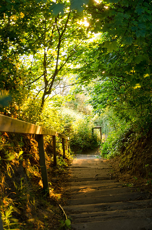 Path to the beach from Happy Valley, Cromer, Norfolk. Puts you through your paces!