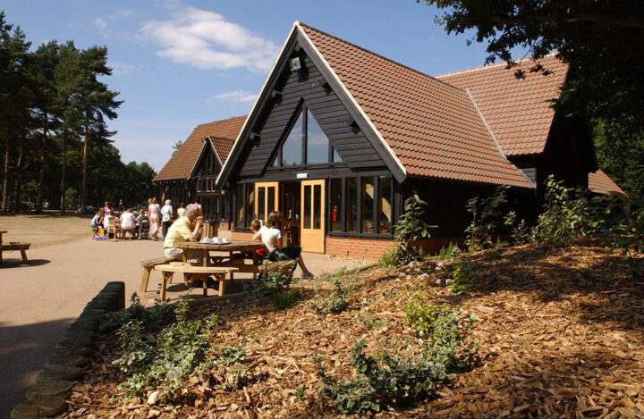 High Lodge Forest Centre, Thetford Forest, Norfolk