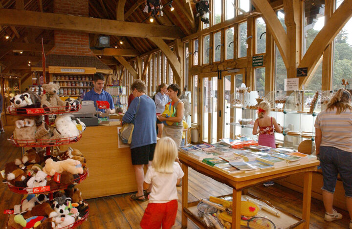 High Lodge Forest Centre, Thetford Forest, Norfolk