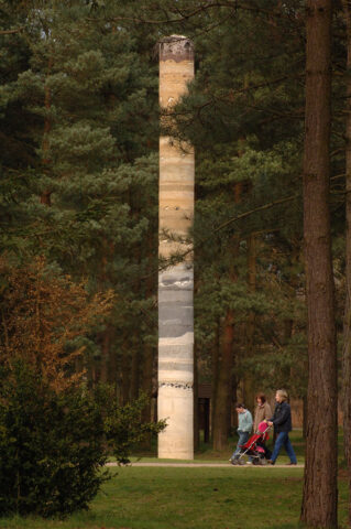 Thetford Forest, Norfolk