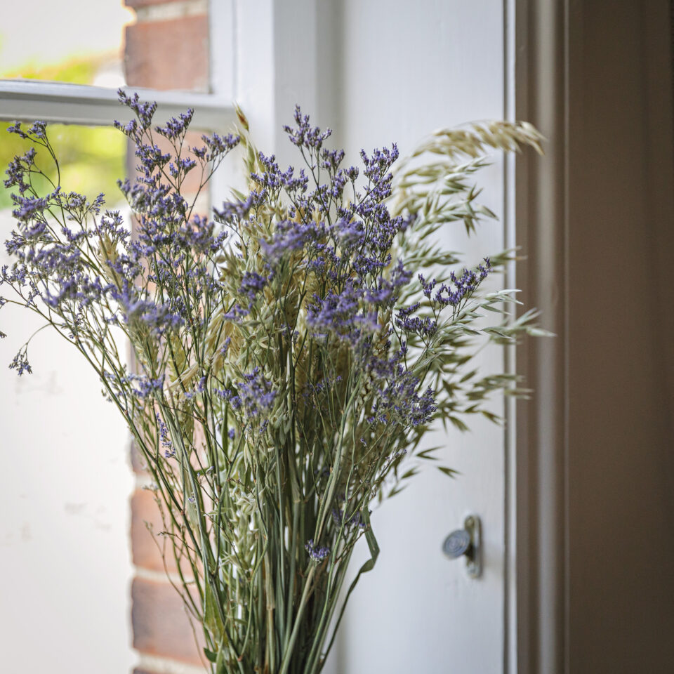 Gardeners Cottage, Overstrand - Norfolk holiday cottage