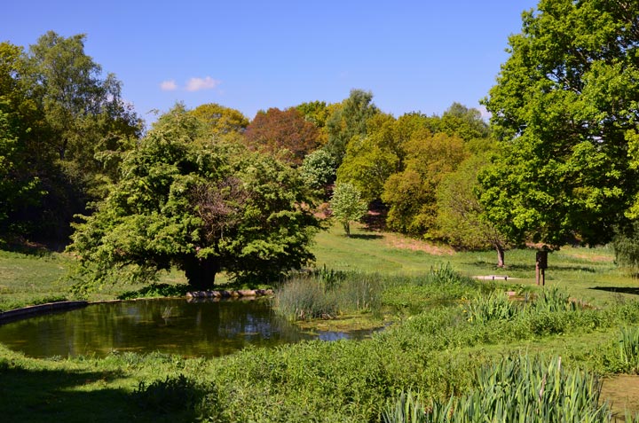 Spout Hills, Holt, Norfolk