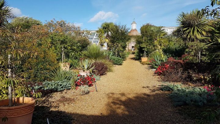 The Kitchen Garden at Felbrigg