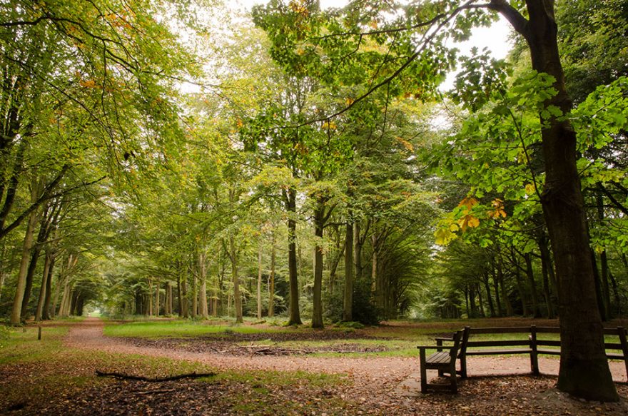 'The Victory V' at the Felbrigg Estate, Norfolk