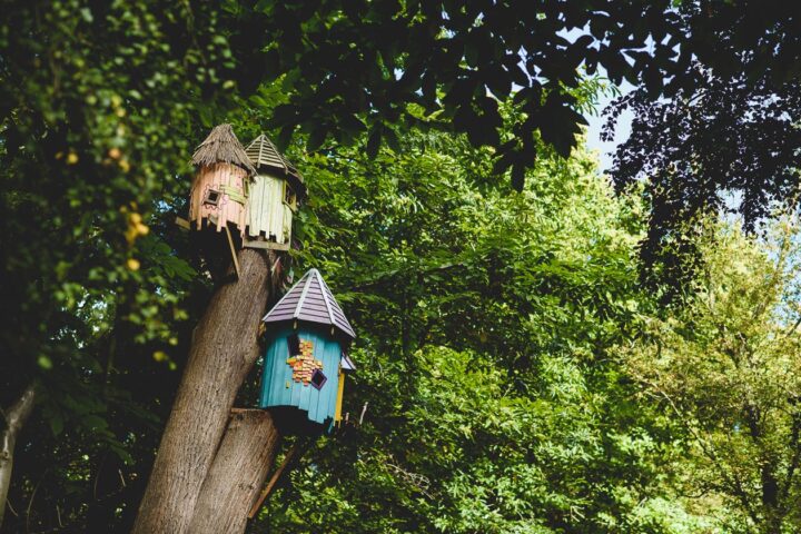 Twiggle houses at BeWILDerwood, Norfolk
