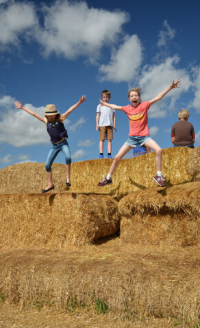 Wizard Maze, Metton, Norfolk