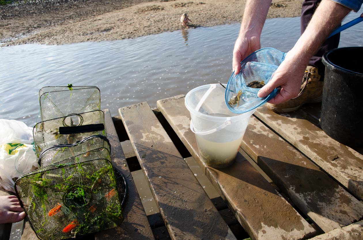 Crabbing on Blakeney Quay, Norfolk