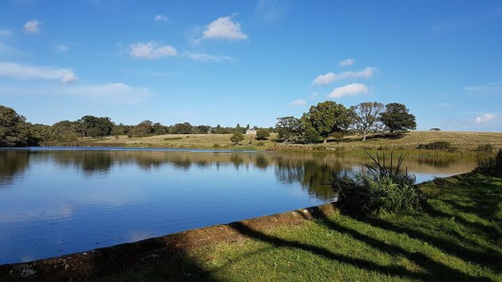 Felbrigg Lake, Norfolk