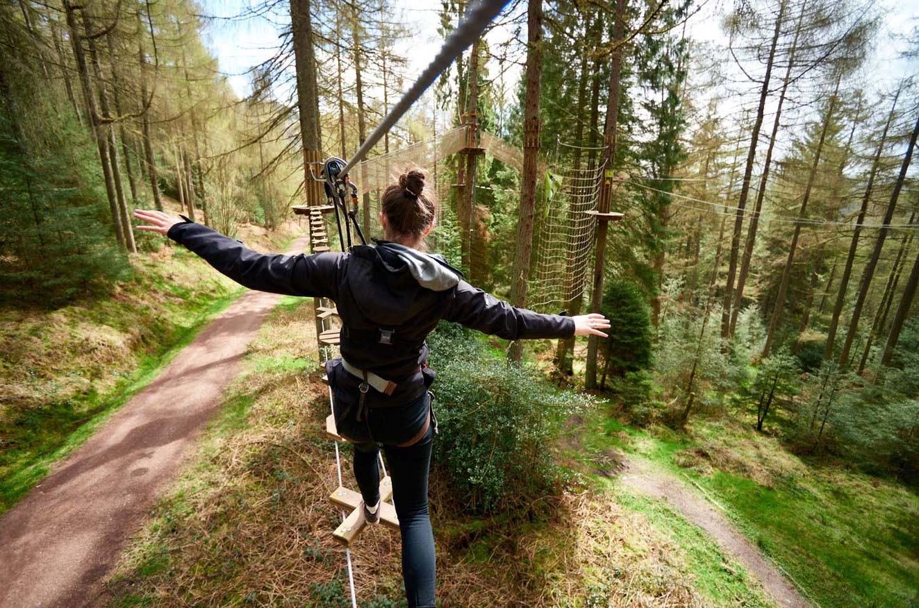 Go Ape, Thetford Forest, Norfolk