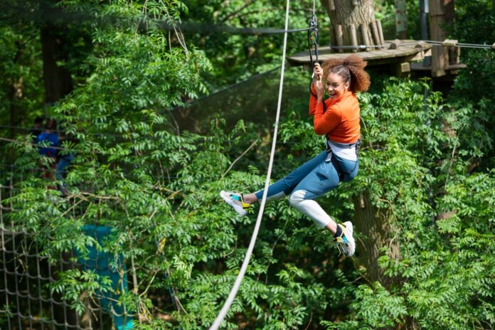 Go Ape, Thetford Forest, Norfolk