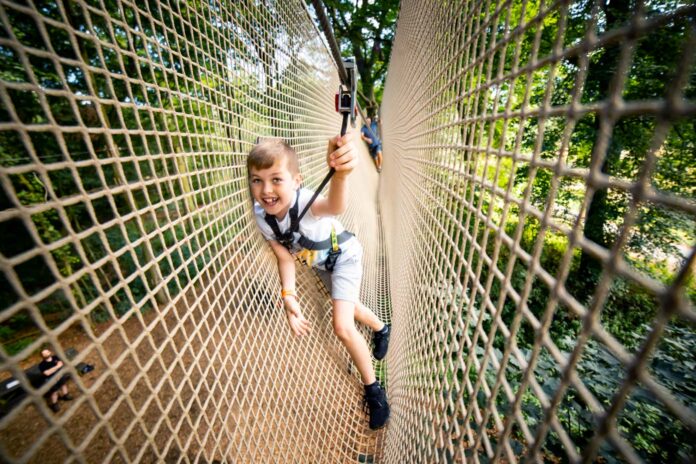 Go Ape, Thetford Forest, Norfolk