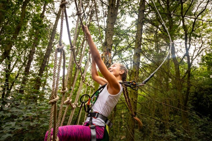 Go Ape, Thetford Forest, Norfolk