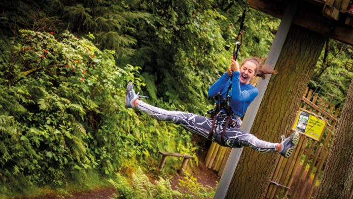 Go Ape, Thetford Forest, Norfolk