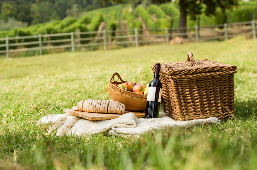 Picnic in Norfolk