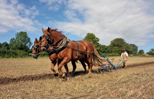 Gressenhall Farm & Workhouse