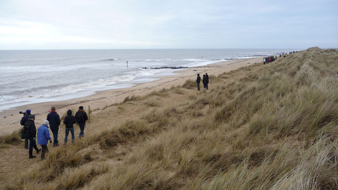 Horsey beach, Norfolk