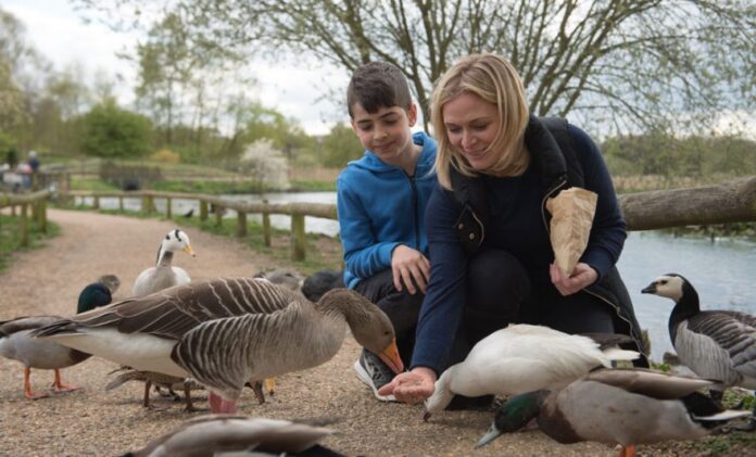 Pensthorpe Natural Park, Norfolk