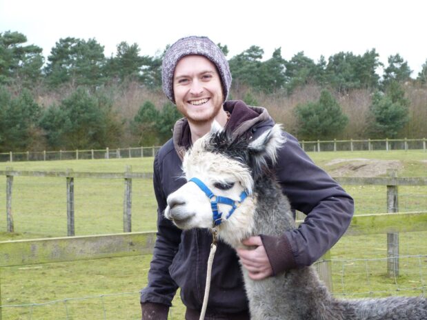 Walking with Alpacas