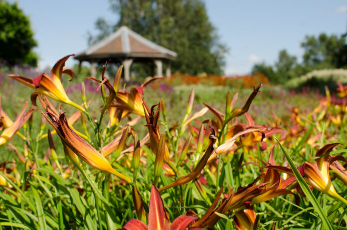Pensthorpe Natural Park, Norfolk