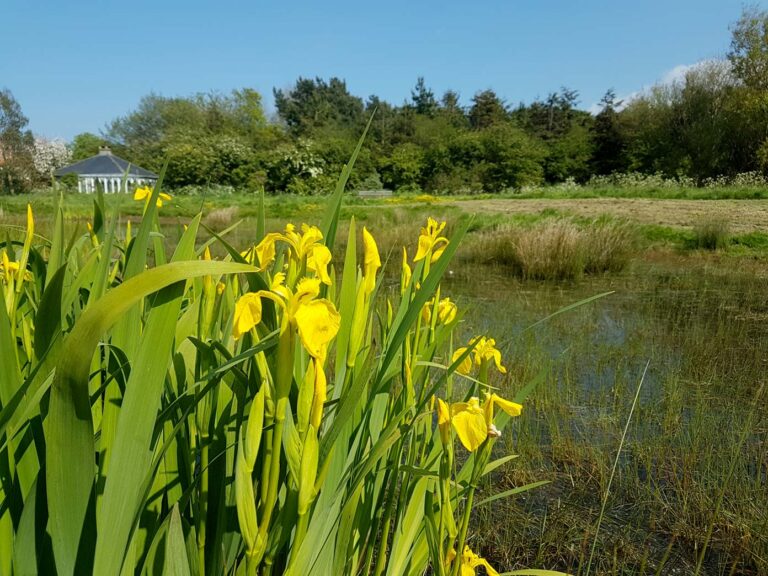 Beeston Common, Sheringham, Norfolk