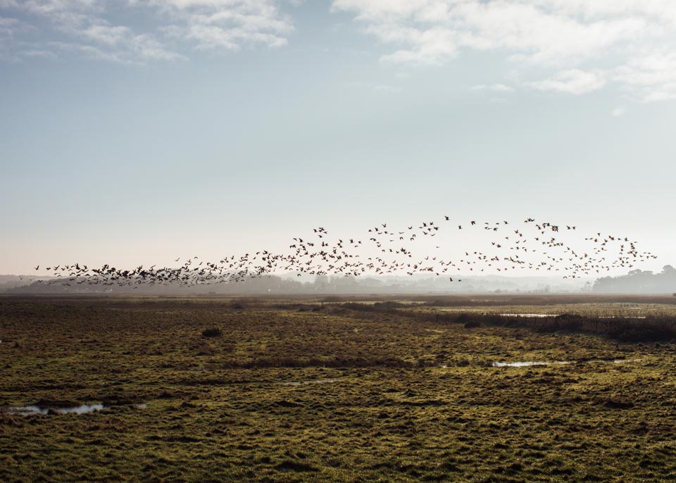 Salthouse Marshes, Norfolk