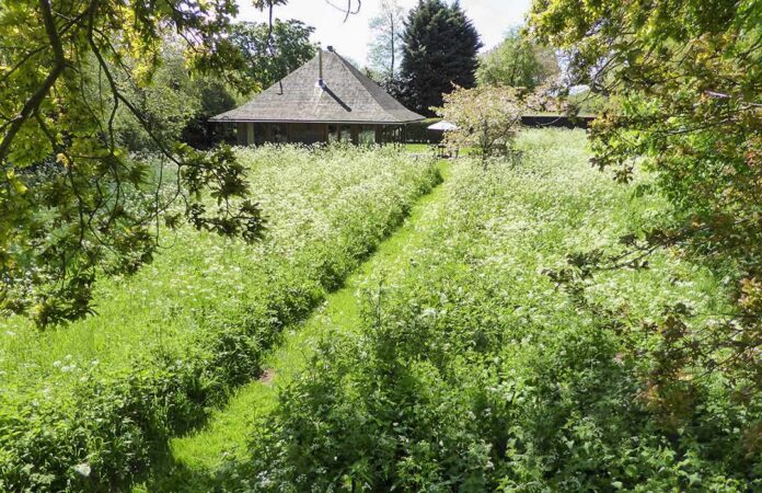The Green Pavilion holiday cottage, Norfolk