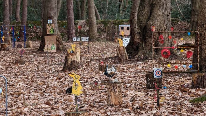 Holt Air Gun Club shooting range