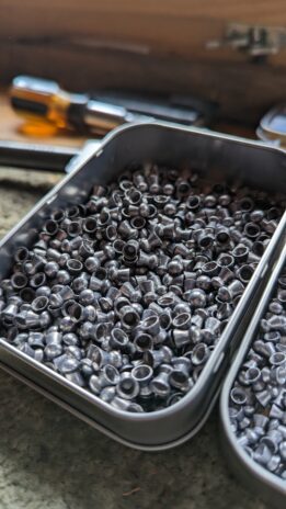 Air gun pellets at Holt Woodland Archery & Air Gun Club