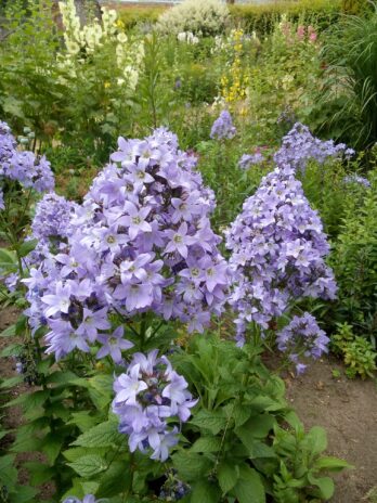 West Acre Gardens, Norfolk