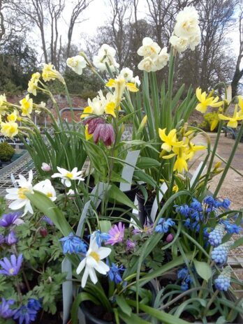 West Acre Gardens, Norfolk
