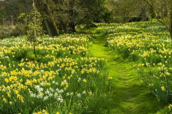 Hindringham Hall & Gardens
