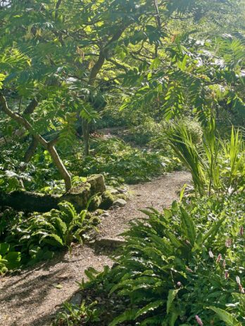 Hindringham Hall & Gardens