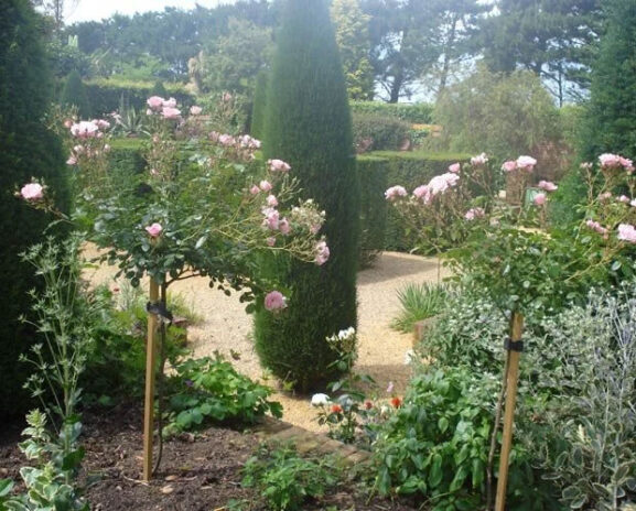 East Ruston Old Vicarage Gardens, Norfolk