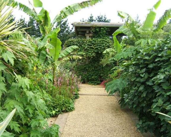 East Ruston Old Vicarage Gardens, Norfolk